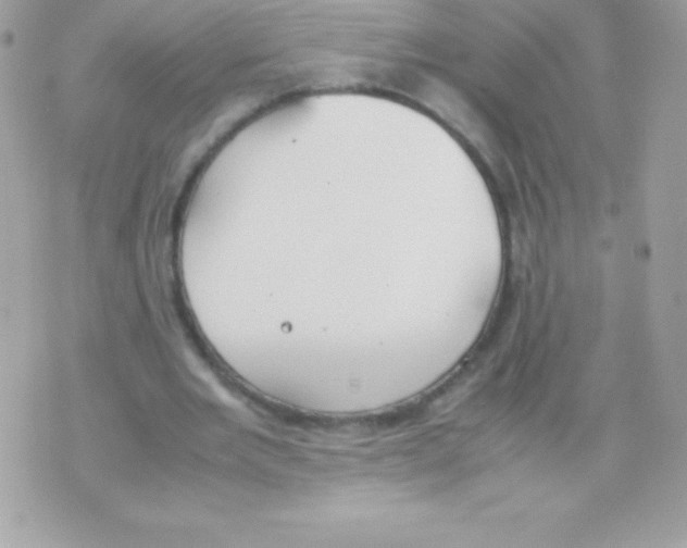 X0000070830485200607142345