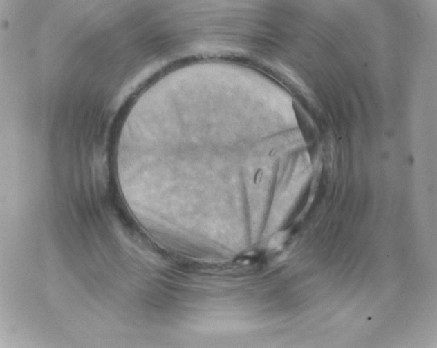 X0000070830488200607142345