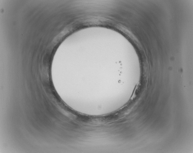 X0000070830489200607142345