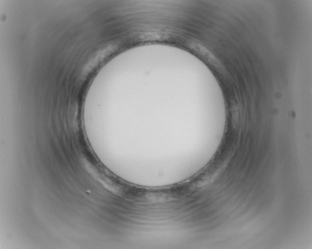 X0000070830490200607142345