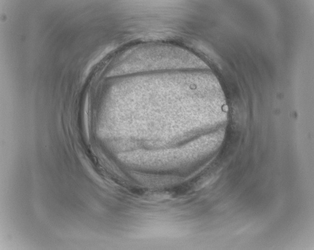 X0000070830491200607142344