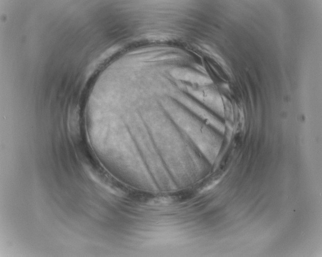 X0000070830492200607142344