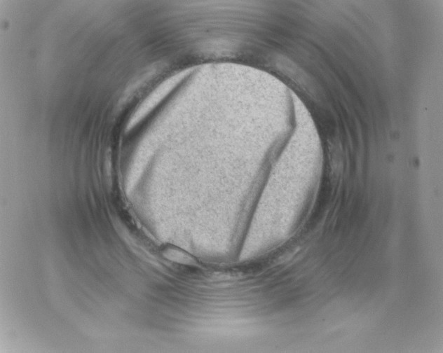 X0000070830494200607142344