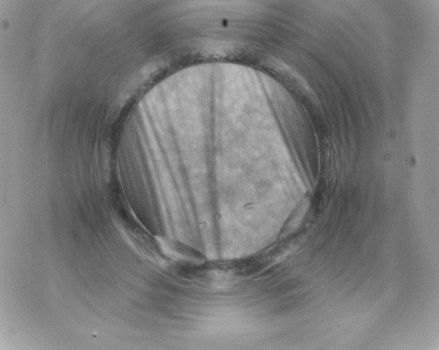 X0000070830496200607142344