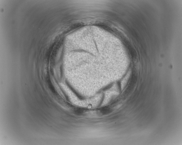 X0000070830499200607142344