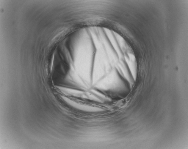 X0000070830501200607142344