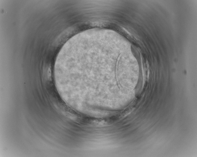 X0000070830502200607142344