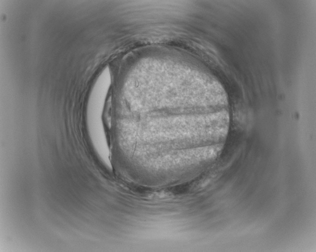 X0000070830503200607142344