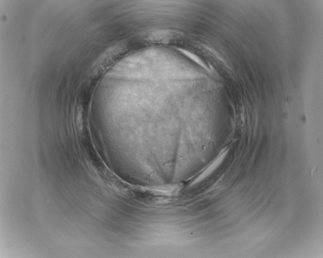 X0000070830504200607142344