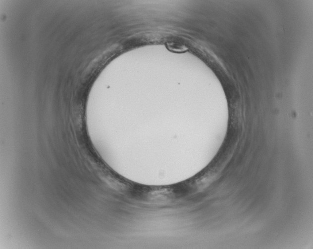 X0000070830505200607142344