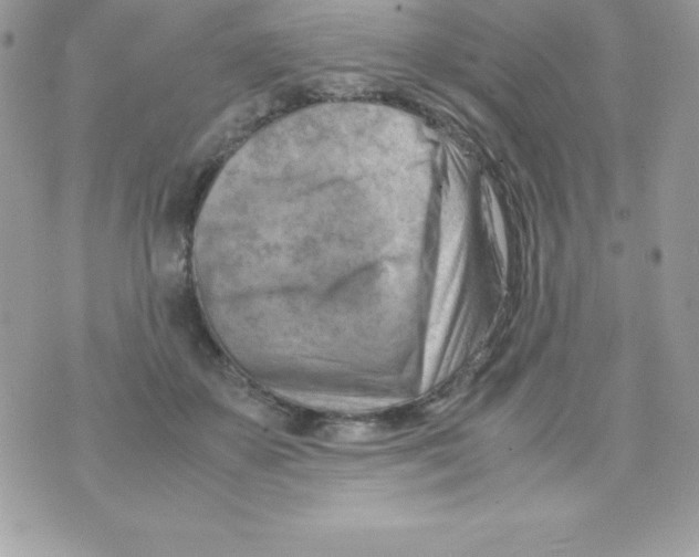 X0000070830507200607142344