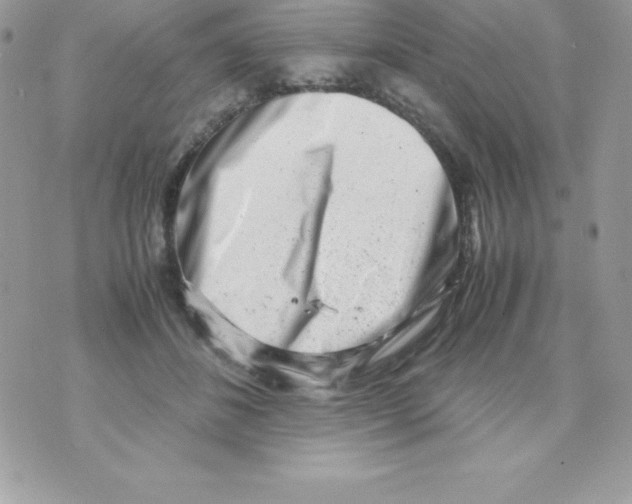 X0000070830508200607142344