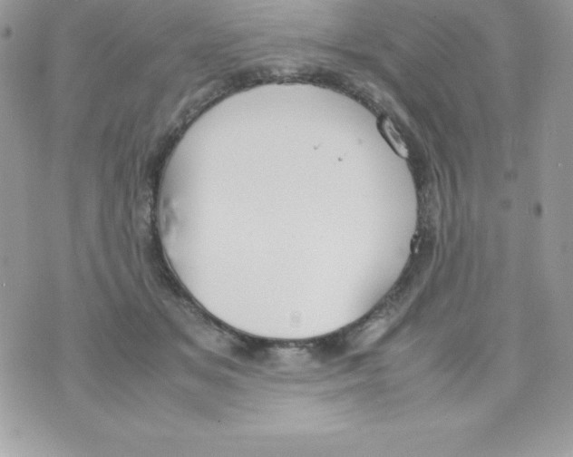 X0000070830509200607142344