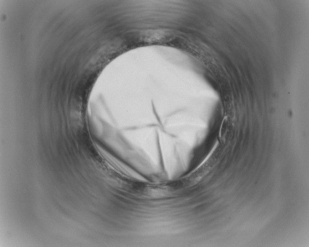 X0000070830510200607142344