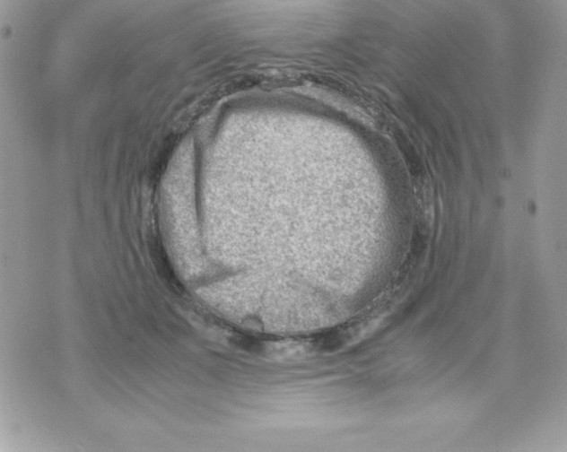 X0000070830511200607142344