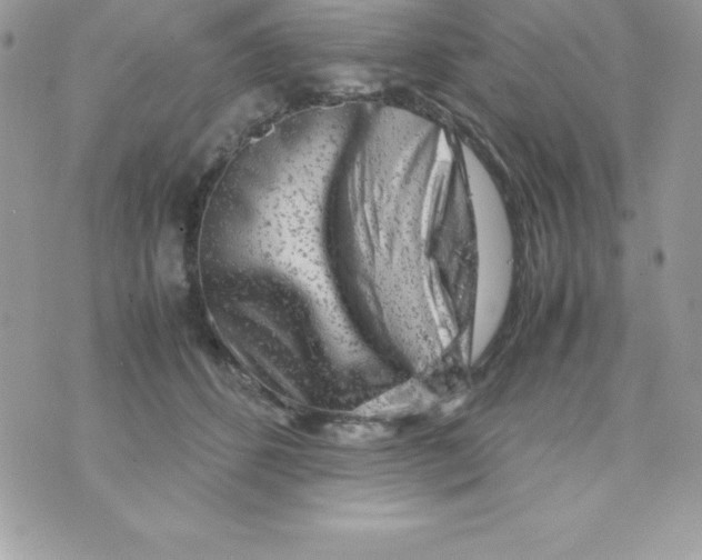 X0000070830512200607142344