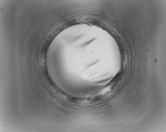 X0000070830513200607142344