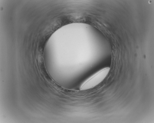 X0000070830515200607142344