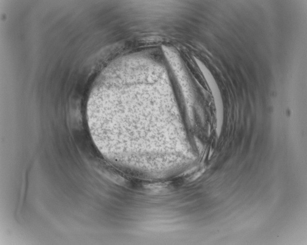 X0000070830516200607142344