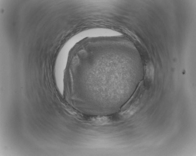 X0000070830517200607142344