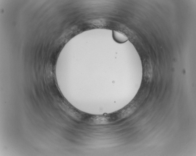 X0000070830518200607142344