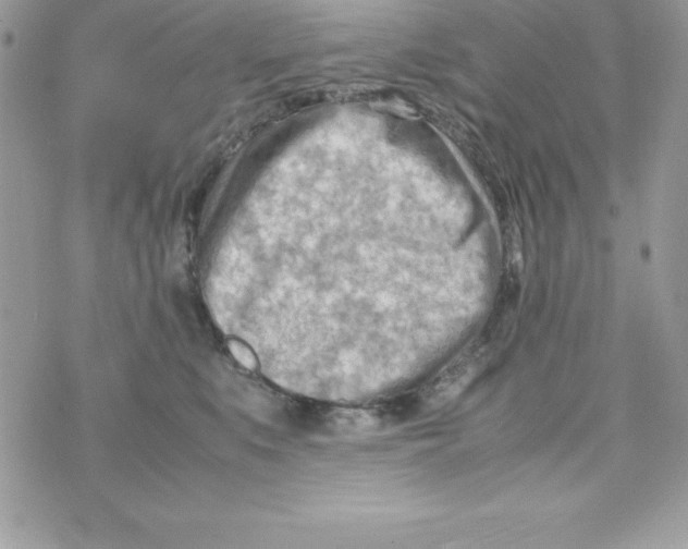 X0000070830519200607142344