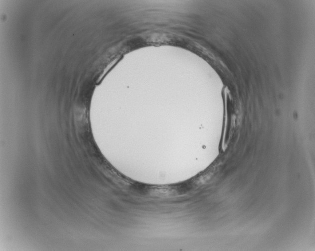 X0000070830521200607142344