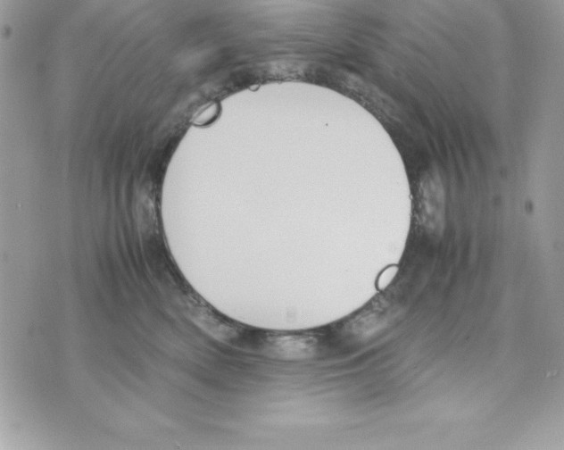 X0000070830522200607142344