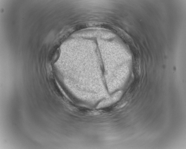 X0000070830523200607142344