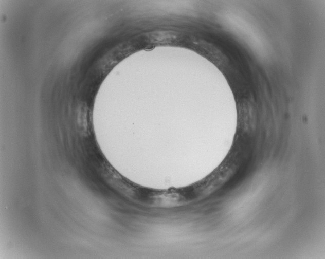 X0000070830525200607142344