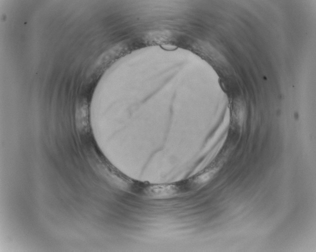 X0000070830526200607142344