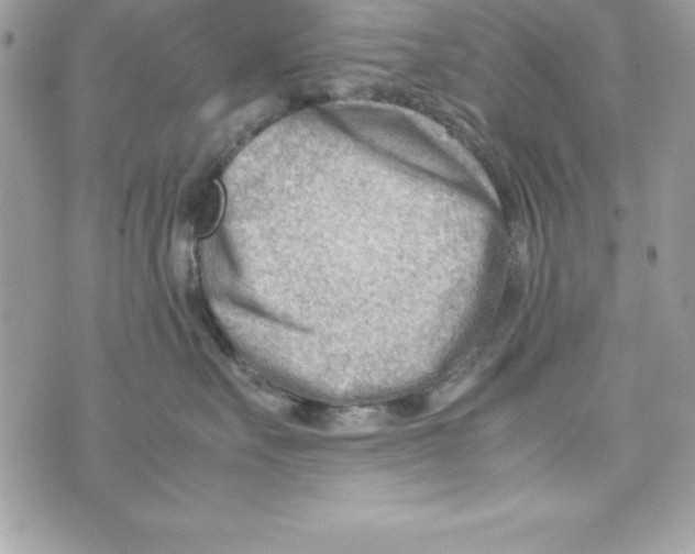 X0000070830527200607142344