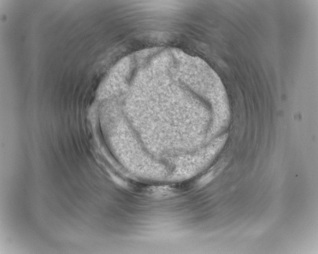 X0000070830528200607142344