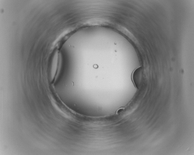 X0000070830530200607142343