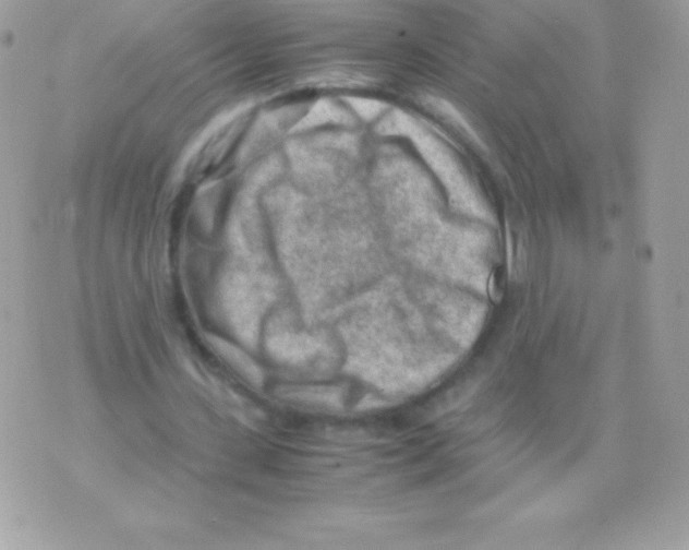 X0000070830531200607142343