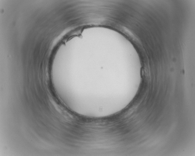 X0000070830532200607142343