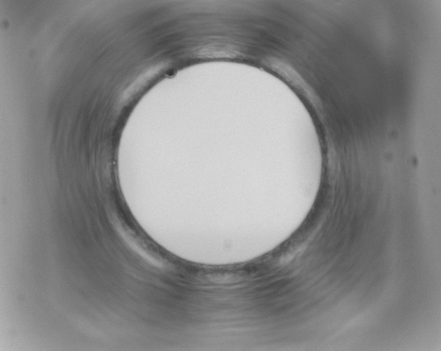 X0000070830533200607142343