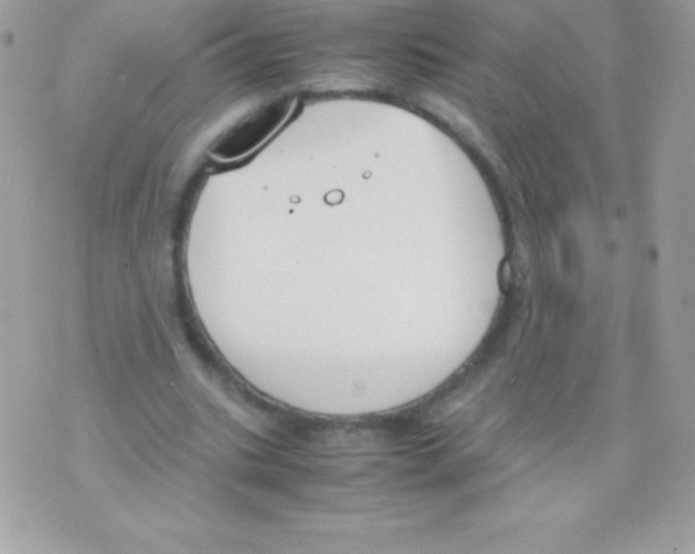 X0000070830535200607142343