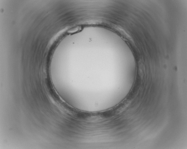 X0000070830536200607142343