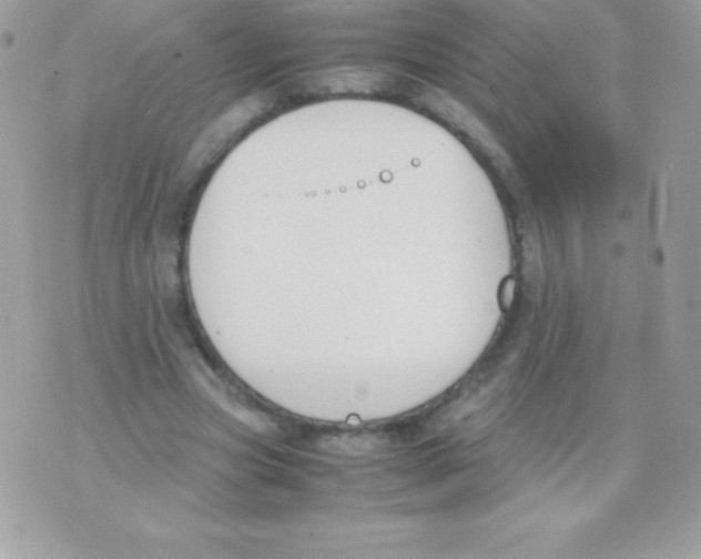 X0000070830537200607142343