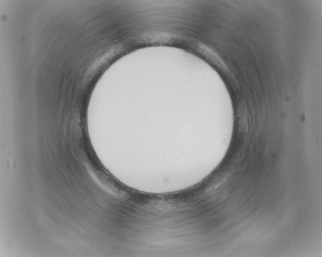 X0000070830538200607142343