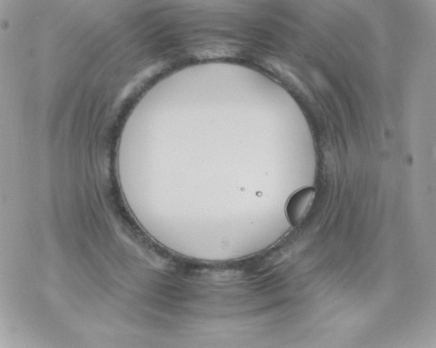 X0000070830539200607142343