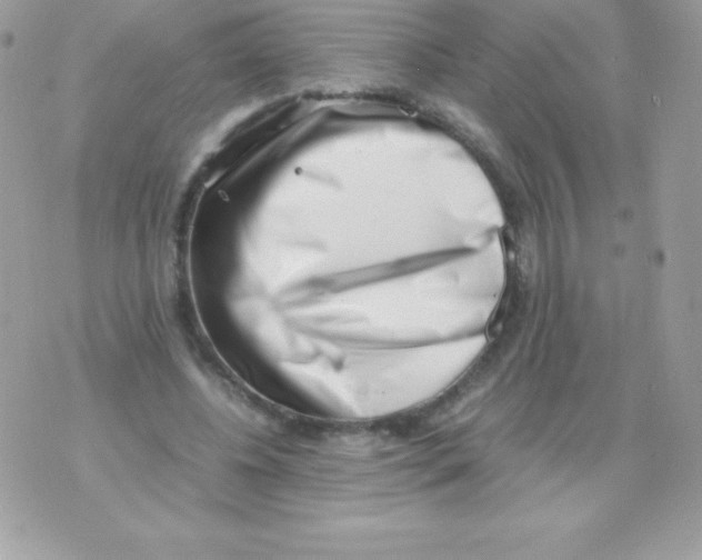 X0000070830540200607142343