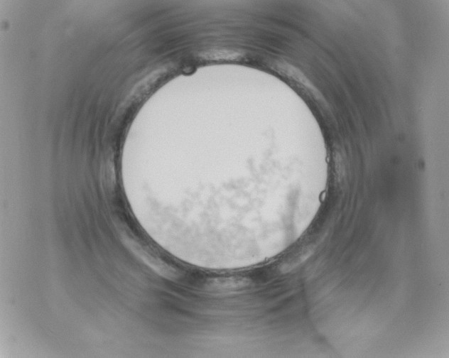 X0000070830541200607142343