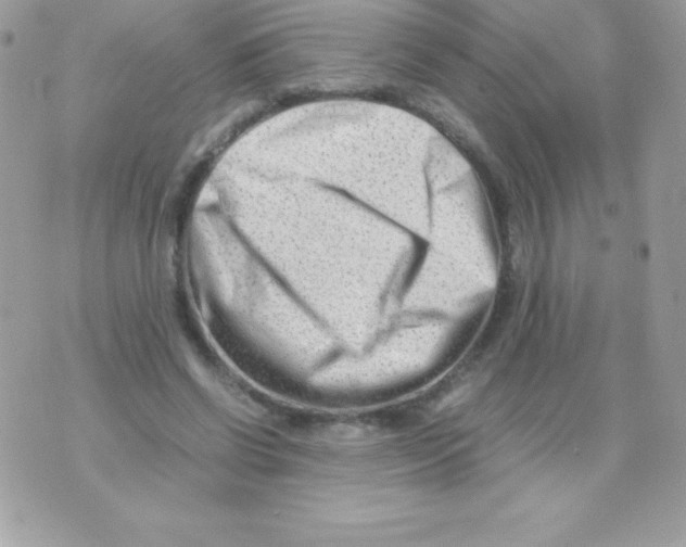 X0000070830542200607142343