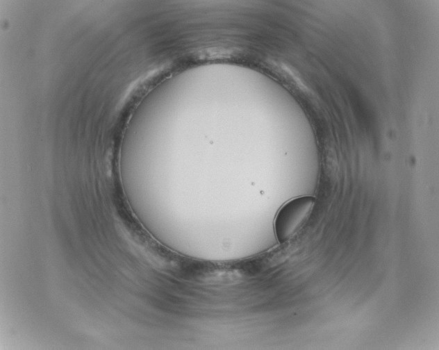 X0000070830543200607142343