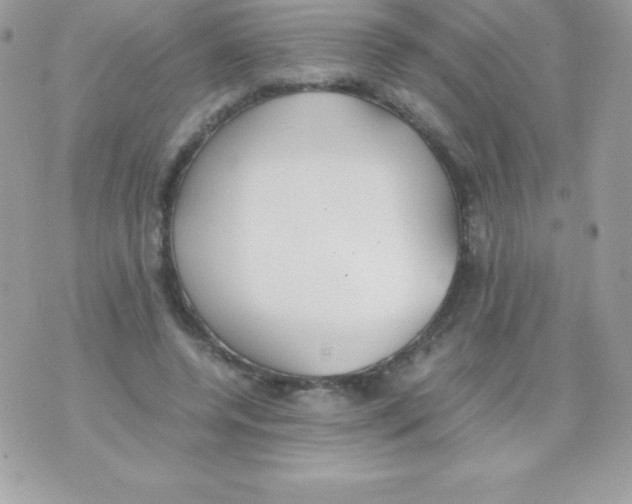 X0000070830544200607142343