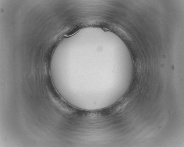 X0000070830546200607142343