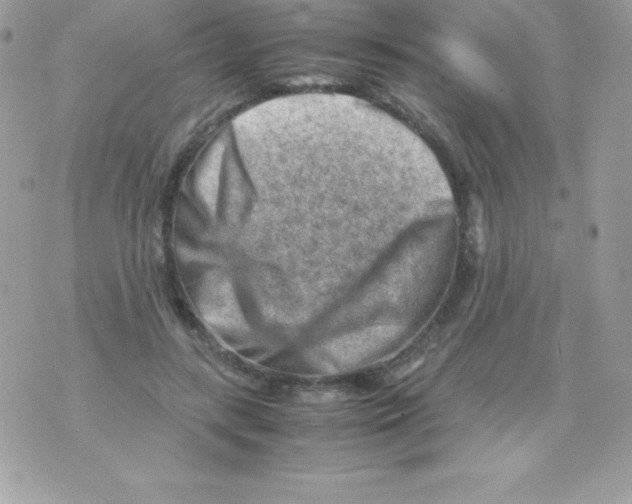 X0000070830547200607142343