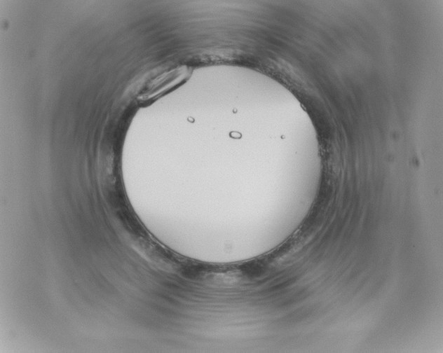 X0000070830548200607142343